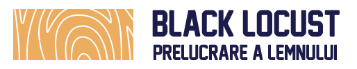 cropped-logo-bl.png